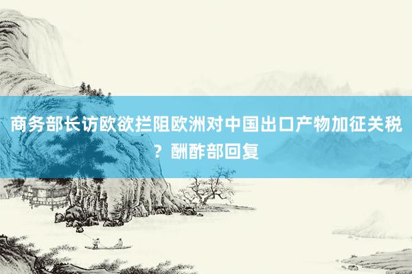 商务部长访欧欲拦阻欧洲对中国出口产物加征关税？酬酢部回复