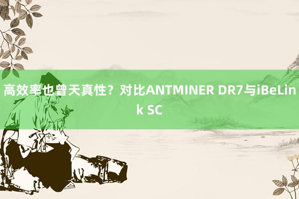 高效率也曾天真性？对比ANTMINER DR7与iBeLink SC