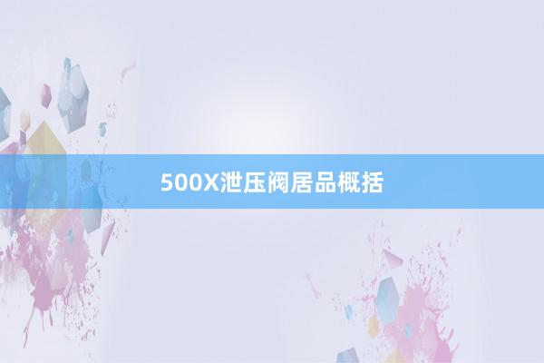 500X泄压阀居品概括