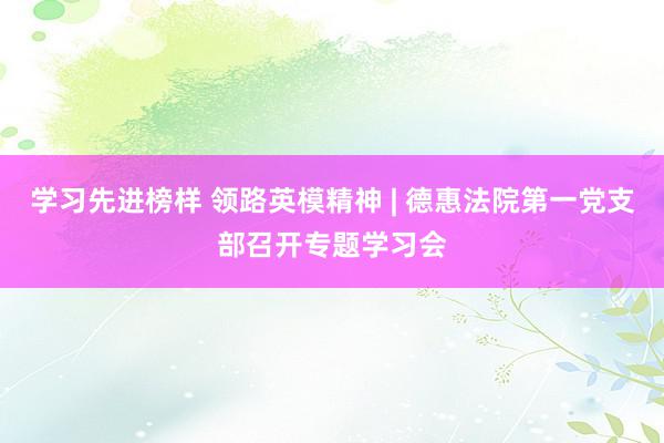 学习先进榜样 领路英模精神 | 德惠法院第一党支部召开专题学习会