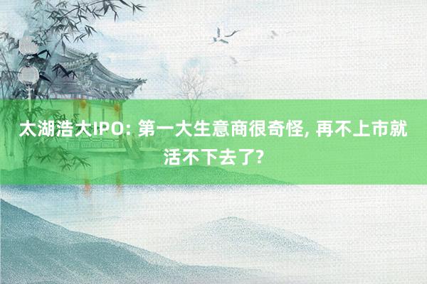 太湖浩大IPO: 第一大生意商很奇怪, 再不上市就活不下去了?