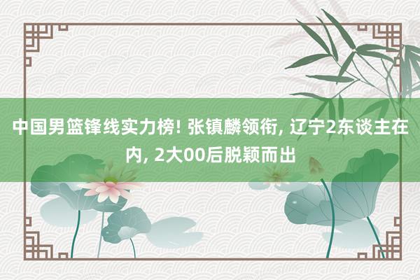 中国男篮锋线实力榜! 张镇麟领衔, 辽宁2东谈主在内, 2大00后脱颖而出