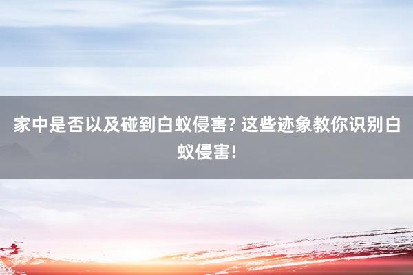 家中是否以及碰到白蚁侵害? 这些迹象教你识别白蚁侵害!