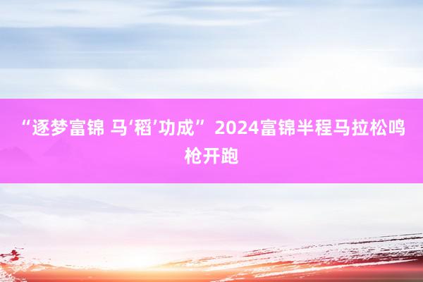 “逐梦富锦 马‘稻’功成” 2024富锦半程马拉松鸣枪开跑