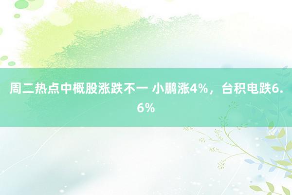 周二热点中概股涨跌不一 小鹏涨4%，台积电跌6.6%