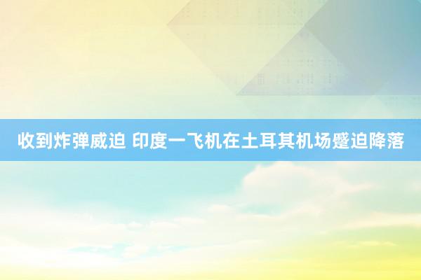 收到炸弹威迫 印度一飞机在土耳其机场蹙迫降落