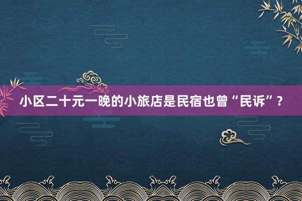 小区二十元一晚的小旅店是民宿也曾“民诉”？